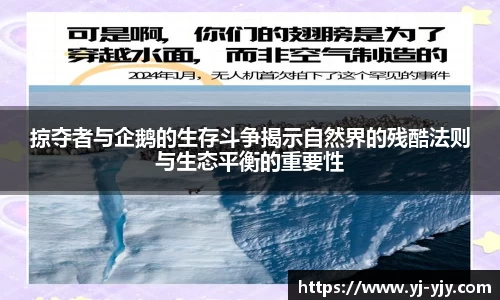 彩神VI首页官网