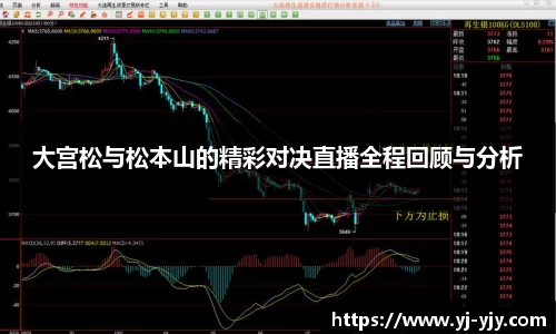彩神VI首页官网
