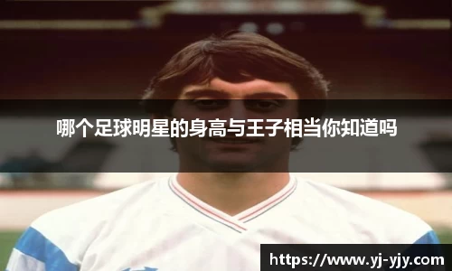 彩神VI首页官网